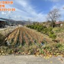 충청북도 보은군 보은읍 보은로 147 이미지