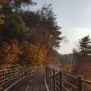 별마로농장 이미지