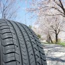 이글스포츠 이미지