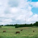삼보목장 이미지