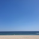 당신의안목 이미지