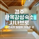시나sina | 경주 펜션 자연속의 힐링이 가득한 시나브로경주 한옥 숙소 룸시나 후기 room_sina
