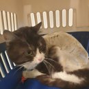 유엔평화로 이미지