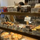 크림우드(Creamwood) 이미지