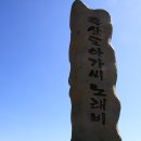 천일사진관 Daum카페