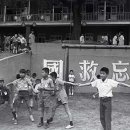 화교초등 이미지