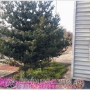 양촌보건진료소 이미지