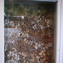 보령문화의전당 이미지