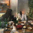 빡포차