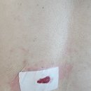 상쾌항외과의원 이미지