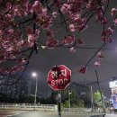 대지로3번길 이미지