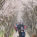 광덕3로7 이미지