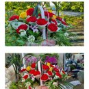 문장로-9 이미지