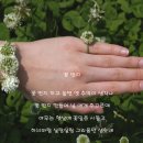 꽃반지