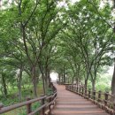 칠선휴게소 이미지