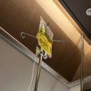 신사어린이집 | 신사역피부과 써마지 FLX 600샷 리프팅계의 끝판왕? 내돈내산 솔직후기 (+통증 가격 마취)