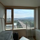 더크립24 | 나의 행복했던 임신기간(중기~후기)