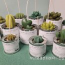 소이모터스 이미지