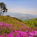 포천 Daum카페