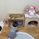 행선로20 | 동두천 마이니니 워터룸 이용후기💦 파티룸+수영복까지 다 준비된 곳!