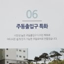 신흥2 이미지