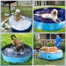 착한개조아 이미지