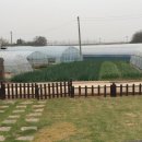 망월리 마을회관 이미지