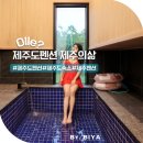 제주도 펜션 가격 제주 저렴한 숙소 애월 숙소 내돈내산