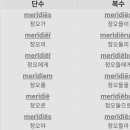 카르페디엠 Daum카페