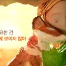 메그네이트 이미지
