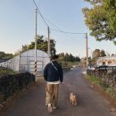 스테이에르바 이미지