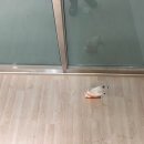 청송마루 네이버블로그