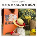 동탄 아기 문센 추천ㅣ오미자쿡(오감미술자연) 후기 및 수강 꿀팁