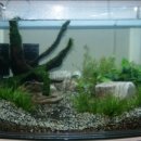 조마루로105번길 이미지