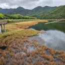 가야산참숯불구이 이미지