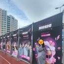 팝콘뮤직 노래연습장 | 2026 진해 군항제 체리블라썸 뮤직 페스티벌🌸 내돈내산 후기!! 만족❤️