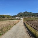 신기마을버스 정류장 이미지