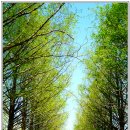 영산수련원 이미지