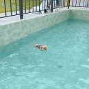 하루가평펜션 이미지