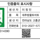 판매중 ]] 대추 방울토마토 (무농약) 판매 이미지