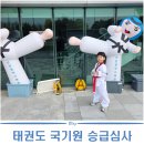 국가대표 올림픽 태권도장 | 인천 선학체육관 태권도 국기원 승급 심사 후기