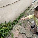 숯고개어린이공원 이미지