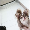 엣지하우스 이미지