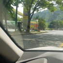 심주은헤어아트