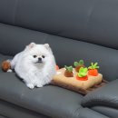 달인세차장 이미지