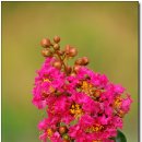 섬진강자전거길1 이미지