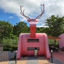 누리파크 | 장수누리파크 캠핑장 동물카라반 사슴방 내돈내산 이용후기, 위치 및 예약정보까지