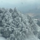 무주김밥나라 이미지