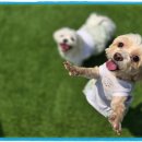 아이조아요양보호소 전남광주점 이미지