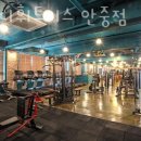 스테디 휘트니스(안중점) 이미지